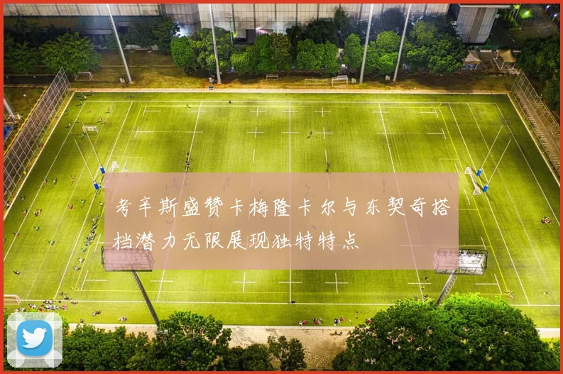 考辛斯盛赞卡梅隆卡尔与东契奇搭档潜力无限展现独特特点