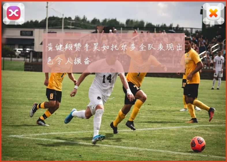 黄健翔赞李昊如托尔多全队表现出色令人振奋